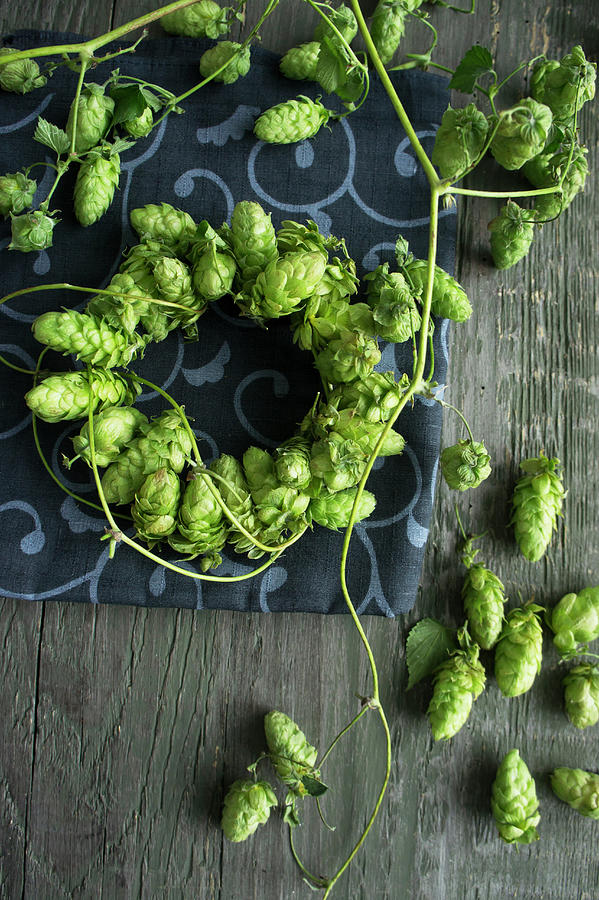 Hops On A Wire Wreath Photograph by Martina Schindler