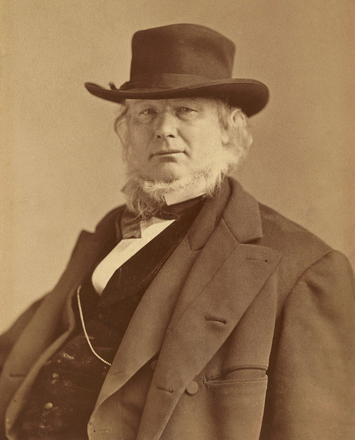 Horace Greeley, American Newspaper Photograph by Science Source | Pixels