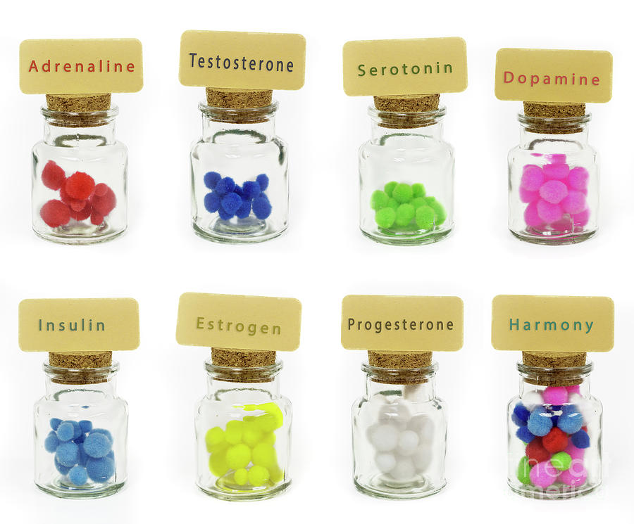 Hormones In Labelled Jars Photograph by Wladimir Bulgar/science Photo Library