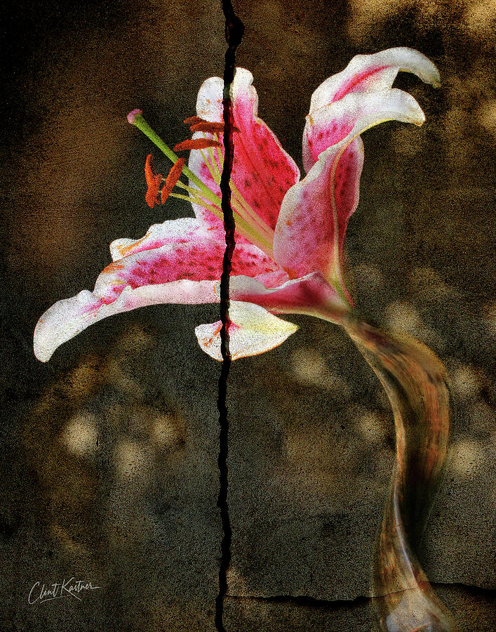 Horn Flower Photograph by Clint Kastner - Fine Art America