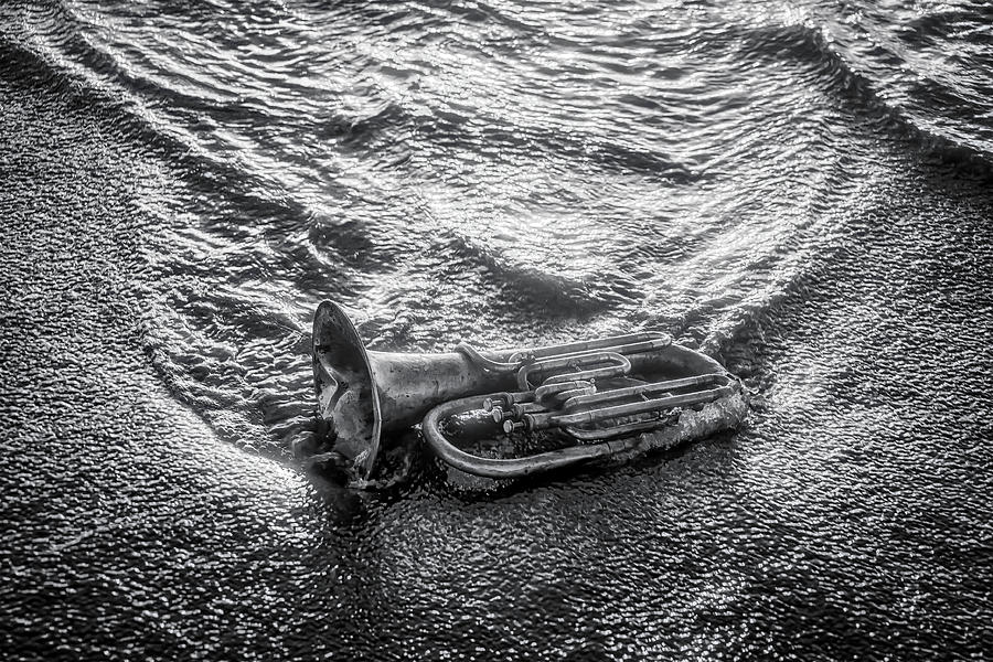 Horn In The Surf In Black And White Photograph by Garry Gay