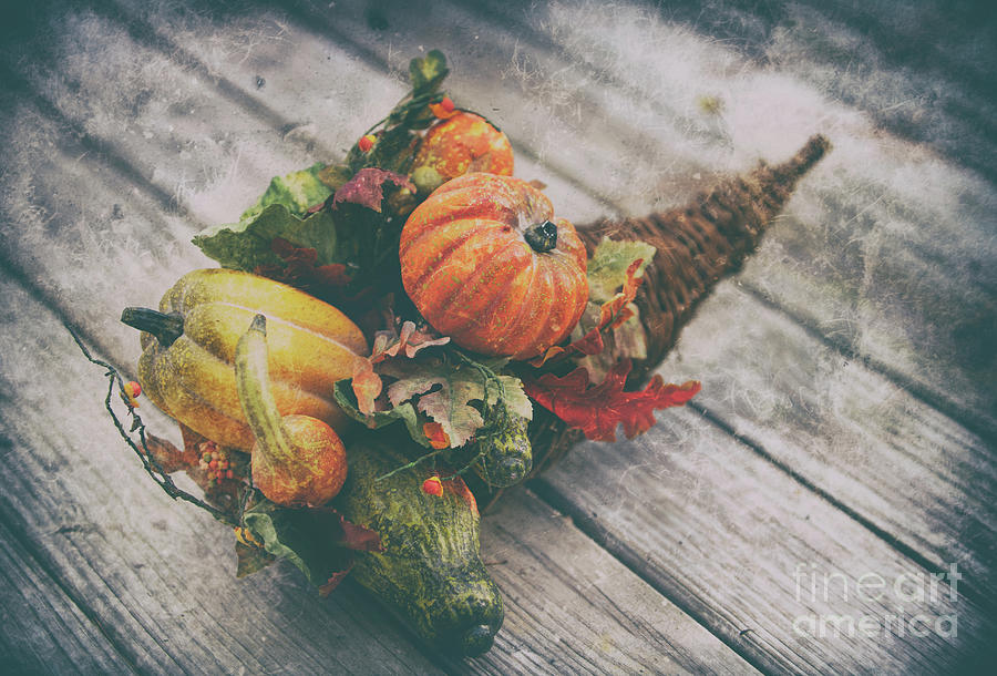 Horn Of Plenty - Autumn Colors Photograph