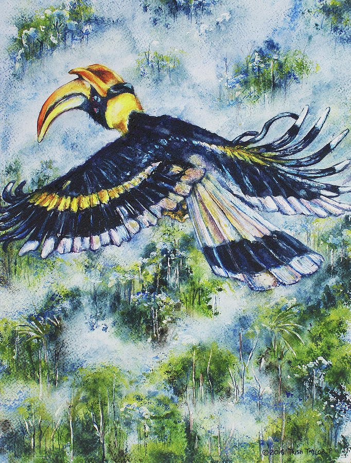 Hornbill Mist Painting by Trish Taylor Ponappa