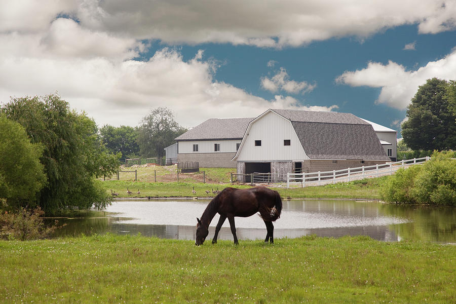 Horse & Barn, Shipshewana, Indiana 10 - Color Photograph by Monte Nagler Horse & Barn, Shipshewana, Indiana 10 - Color Photograph by Monte Nagler