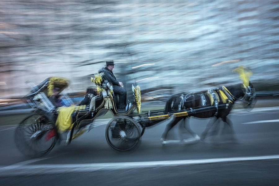 New York Photograph - Horse 2 by Moises Levy
