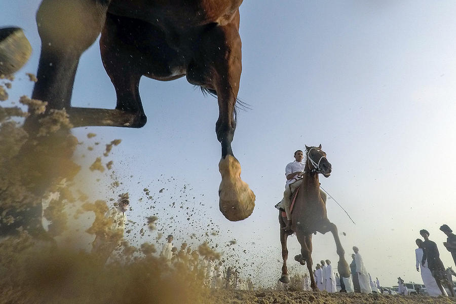 Horse Action Photograph by Haitham Al Farsi