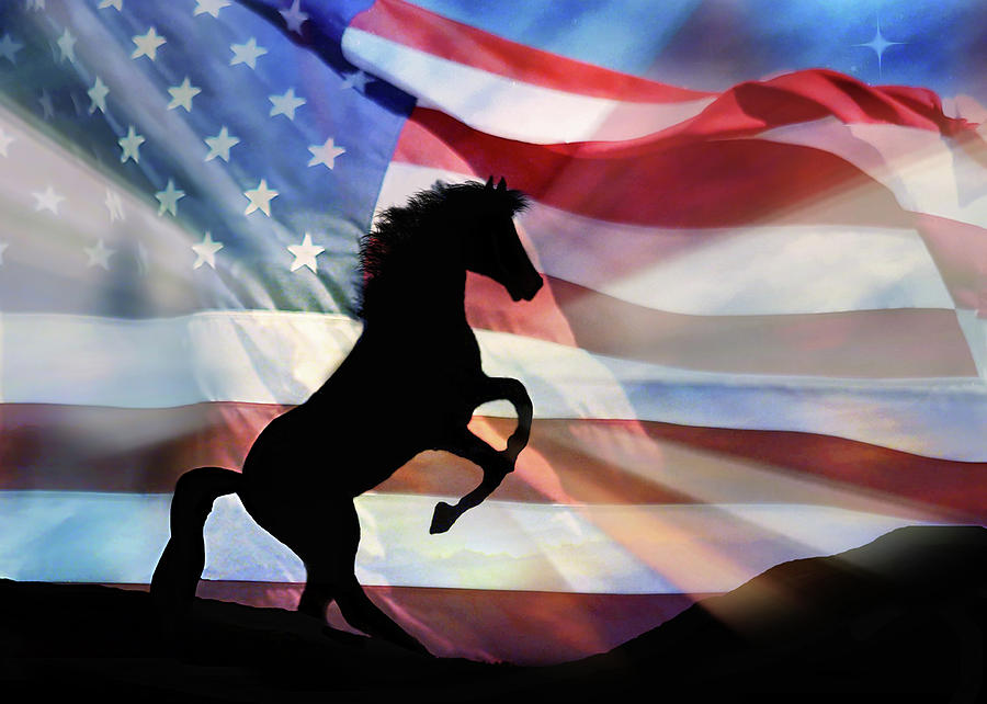 Horse and American Flag Freedom Fourth of July Photograph by Stephanie Laird