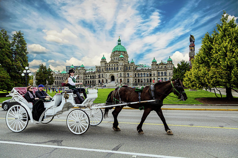 Horse and Buggy in Victoria Photograph by Darryl Brooks