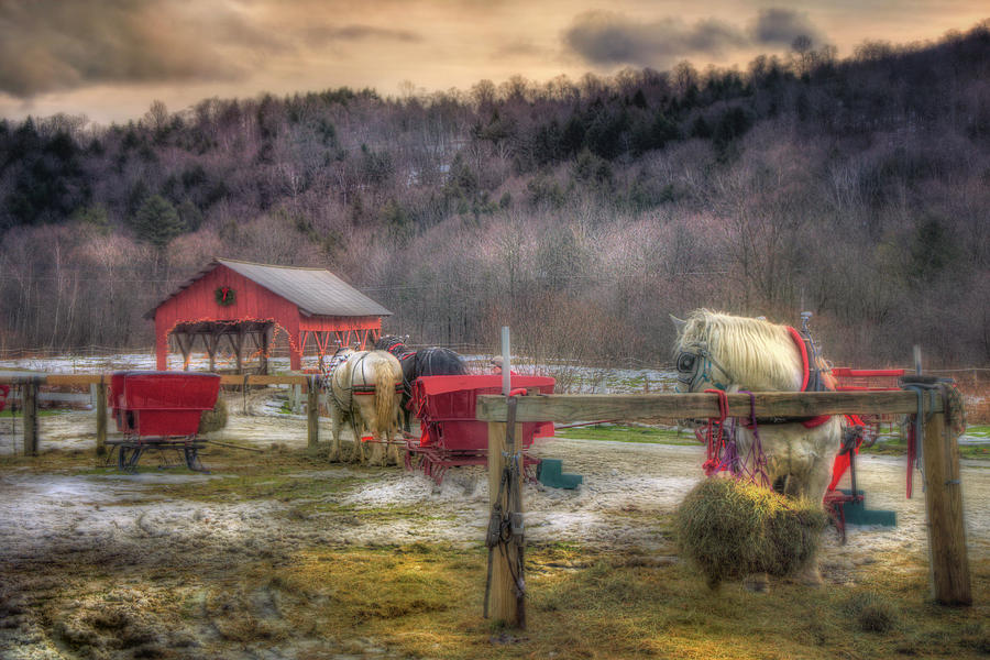Horse And Carriage Photograph - Horse and Carriage Ride - Stowe Vermont by Joann Vitali