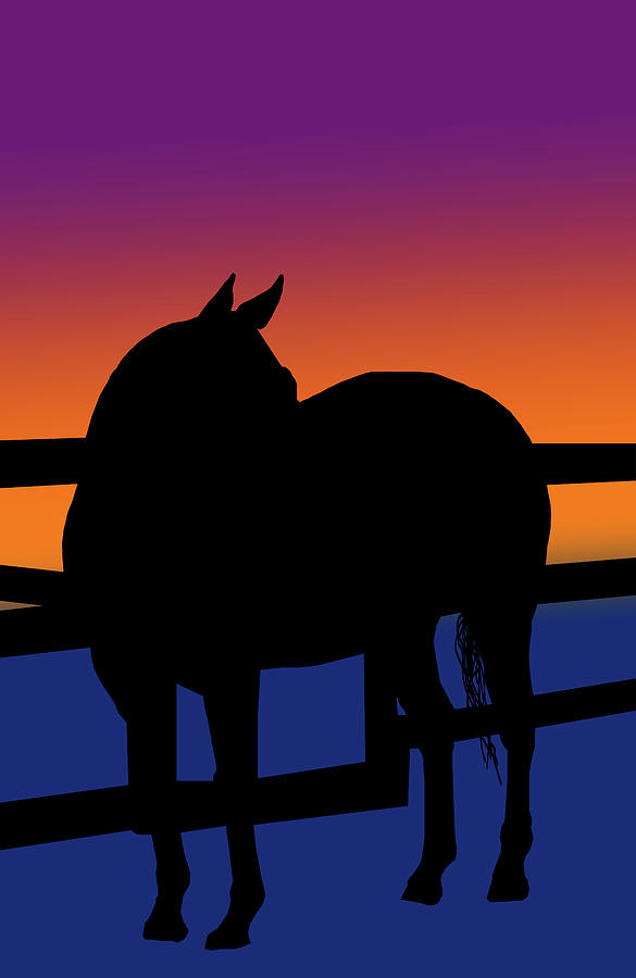 Animal Digital Art - Horse and fence in silhouette by Cathy Harper
