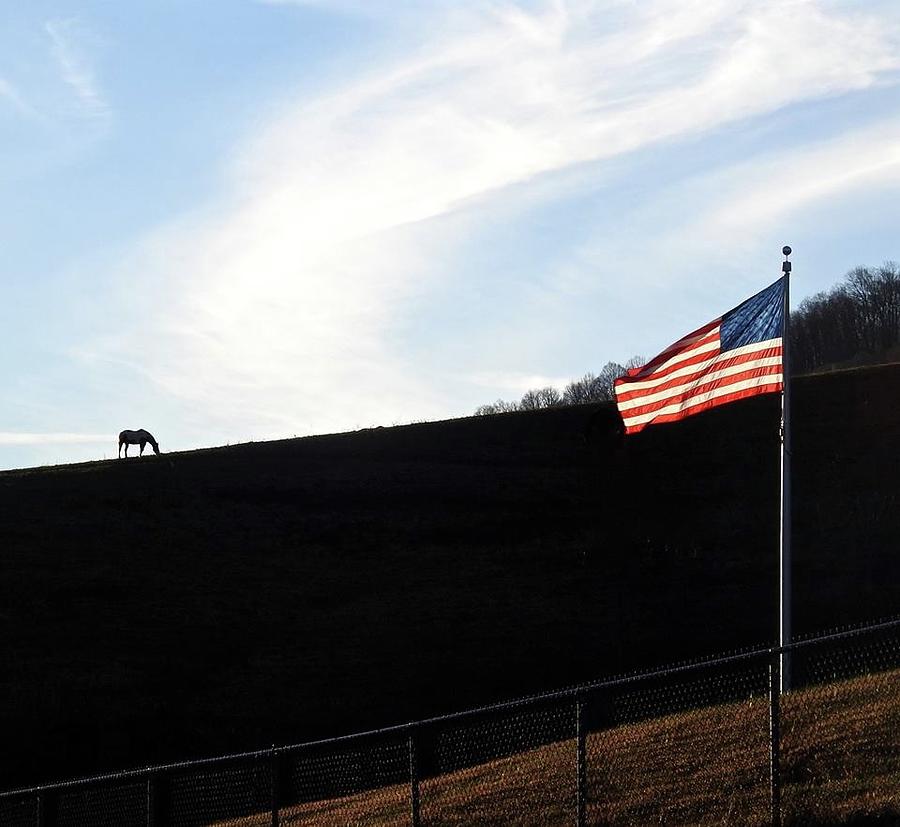 Horse and Flag Photograph by Kathy Ozzard Chism