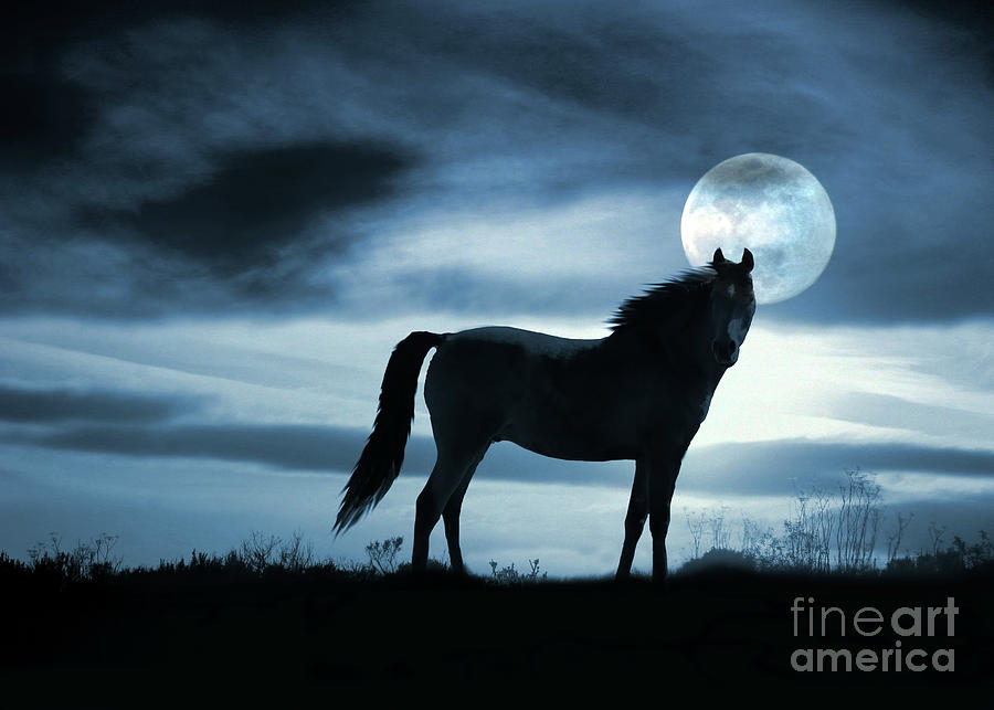 Horse and Moon Surreal Photography Fantasy Blue Sky Horse Photograph by Stephanie Laird