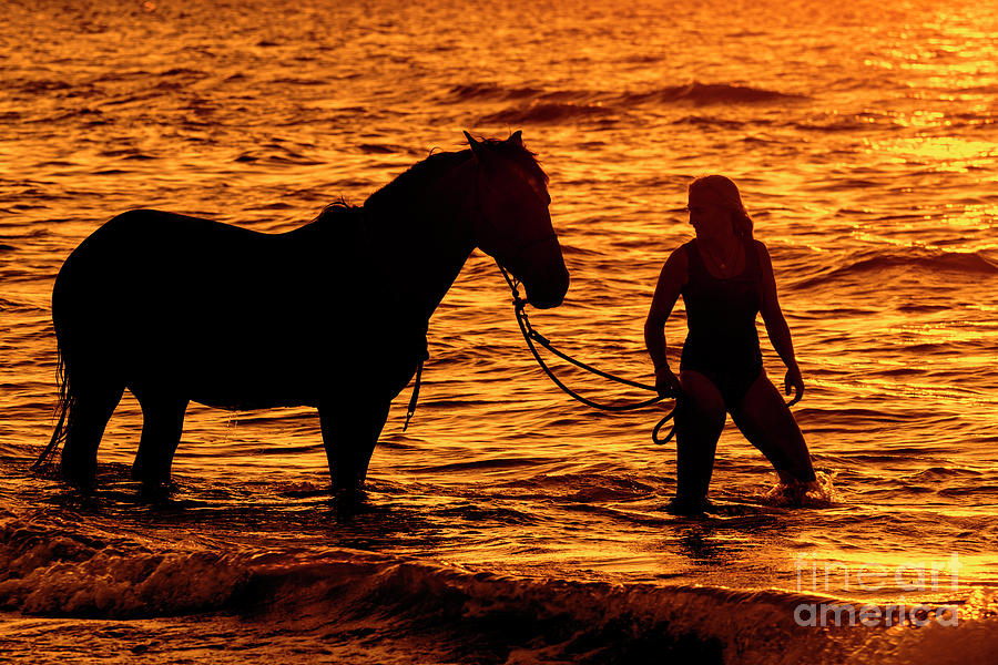 Horse and Rider at Sunset Photograph by Arterra Picture Library