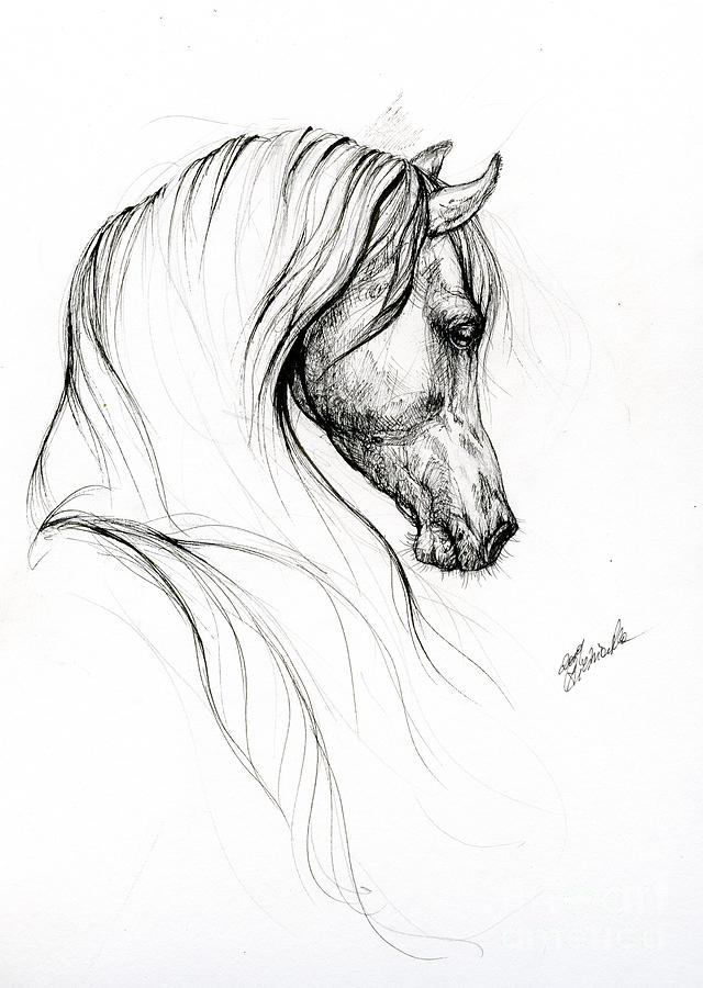 Horse art 2019 09 02 by Angel Ciesniarska Horse art 2019 09 02 by Angel Ciesniarska