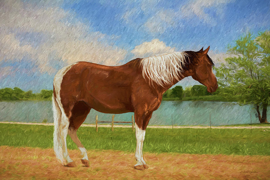 Horse at the Pond - Painting by Ericamaxine Price Horse at the Pond - Painting by Ericamaxine Price