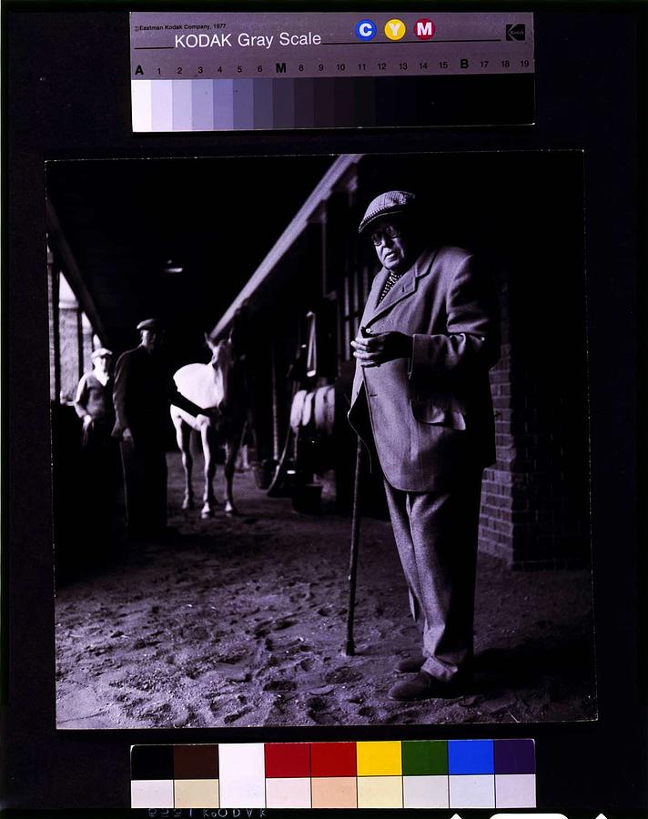 Horse Breeder Ambrose Clark By Toni Frissell, 1907-1988 Painting
