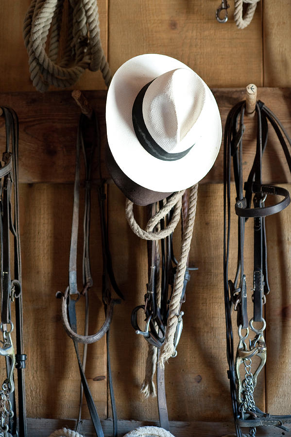 Horse Bridles And White Hat Hanging On Hook, Maremma, Italy Photograph ...