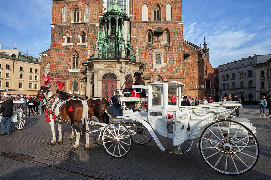 Krakow Horse And Carriage