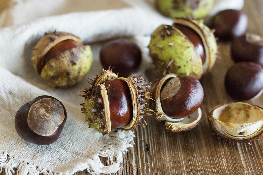 Horse Chestnuts With Cases On A Wooden Surface Photograph by Lieberbacken