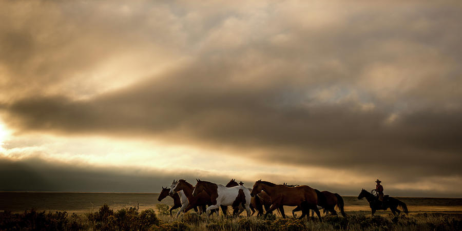 Horse Clouds Photograph by Dan Ballard - Fine Art America