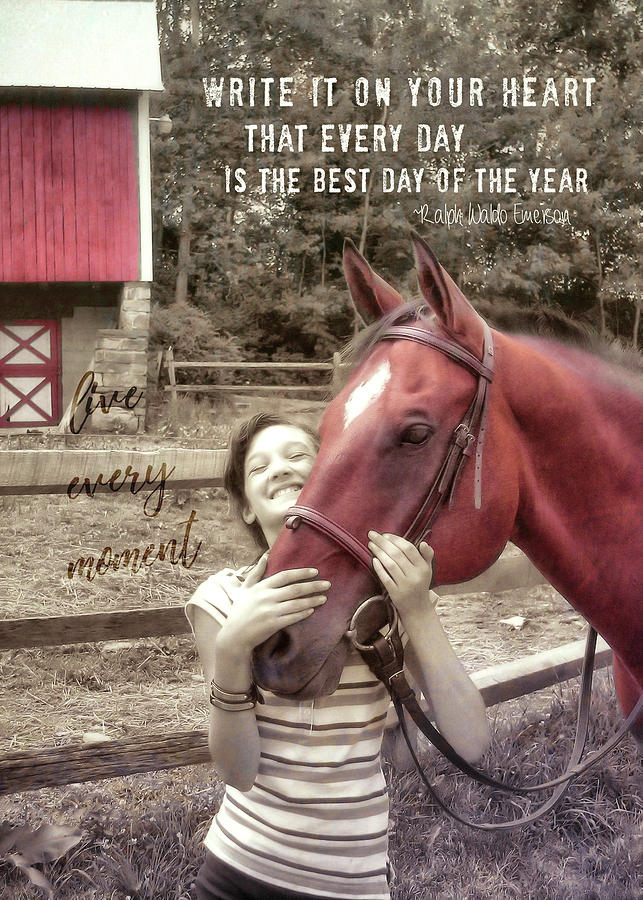 Horse Crazy Quote Photograph By Dressage Design