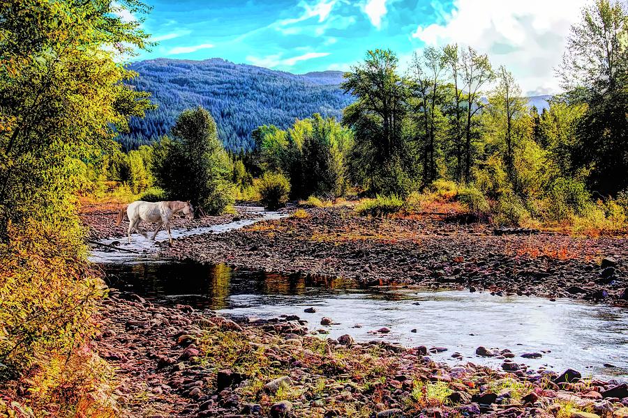 Horse crossing Bear Creek,Bear Creek Guest Ranch,Essex Montana by Rusty R Smith Horse crossing Bear Creek,Bear Creek Guest Ranch,Essex Montana by Rusty R Smith