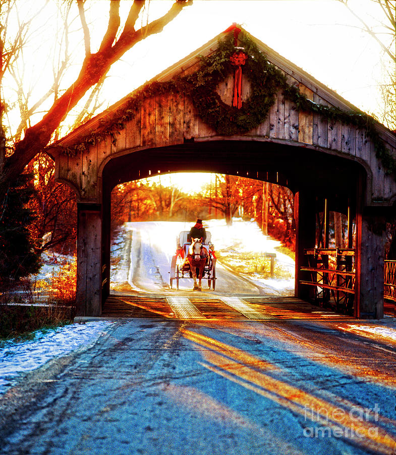 Horse Drawn Carriage Covered Bridge Long Grove IL 014060036 Photograph by Tom Jelen