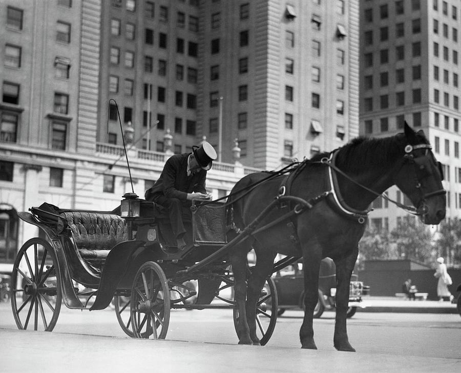 Horse Drawn Carriage, Nyc Photograph by George Marks