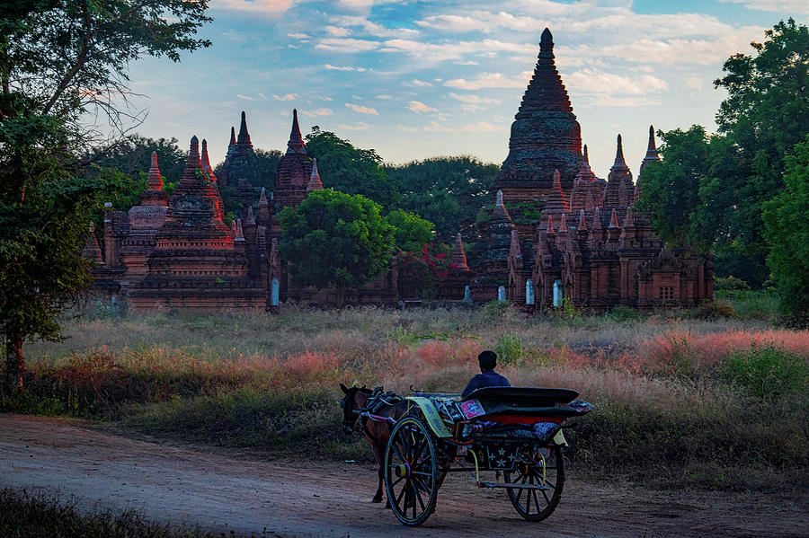 Horse Drawn Cart In Myanmar At Sunrise Photograph