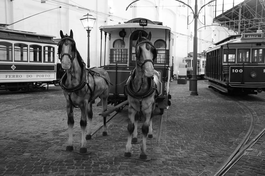 Horse-drawn streetcar Photograph by Lukasz Ryszka