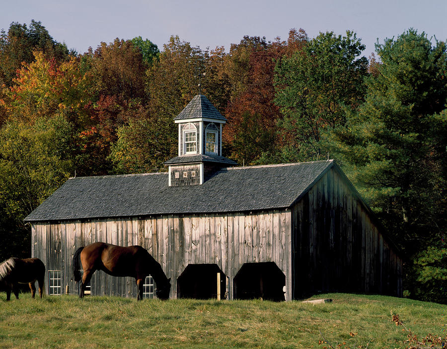 Horse Farm Barn Painting by Carol Highsmith