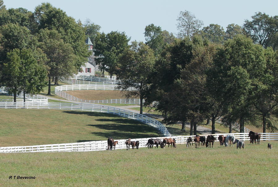 Horse Farm in Lexington, KY Photograph by Richard Bevevino Pixels