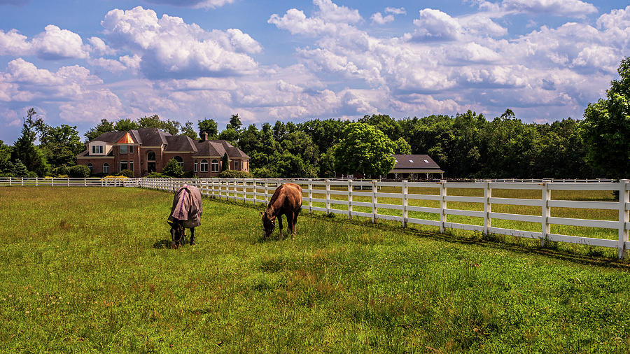 Horse Farm Photograph by Louis Dallara