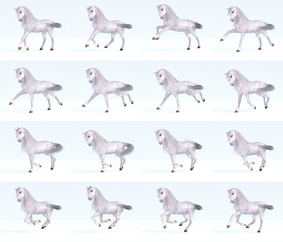 Horse Gallop Sequence Digital Art