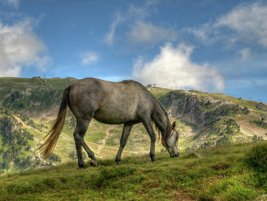 Horse Grazing In The Mountains. Pyrenees Photograph by By Paco Calvino (barcelona, Spain)