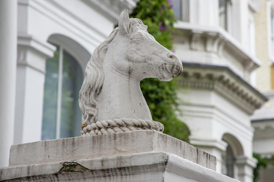 Horse head in London  Photograph by John McGraw