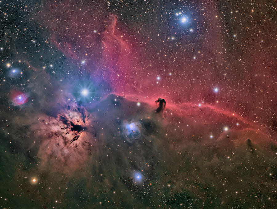 Horse Head Nebula in Orion Photograph by Joann McDonald - Fine Art America