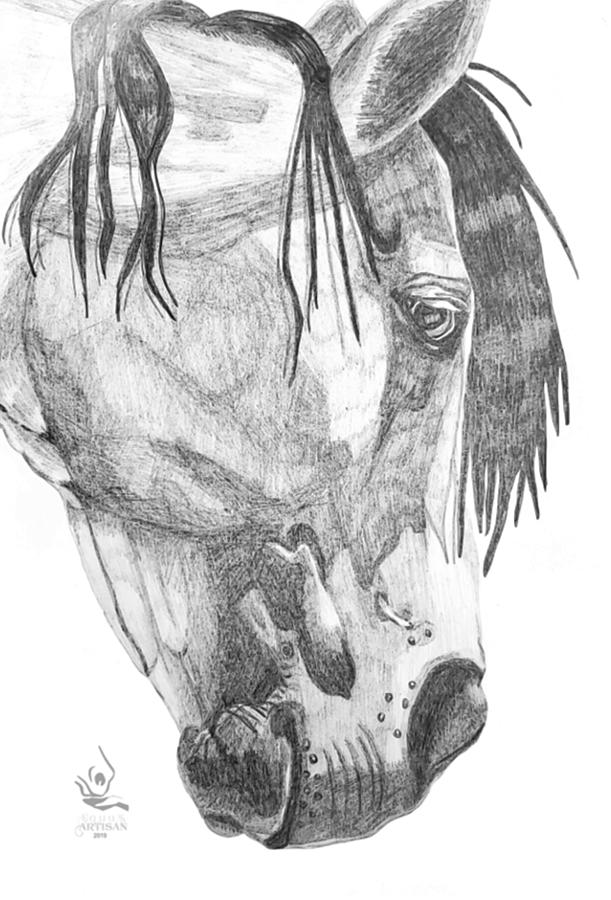 Horse Head Study Drawing by Equus Artisan