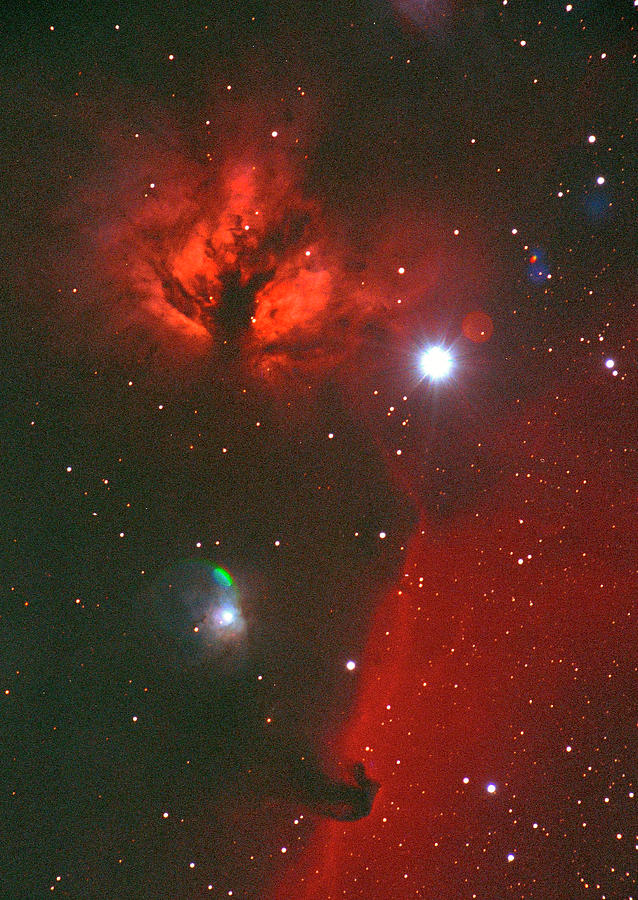 Horse-headed Demon Nebula Photograph by Imagenavi
