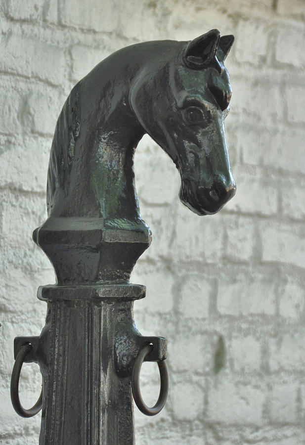 Horse Hitching Post  Photograph by JAMART Photography
