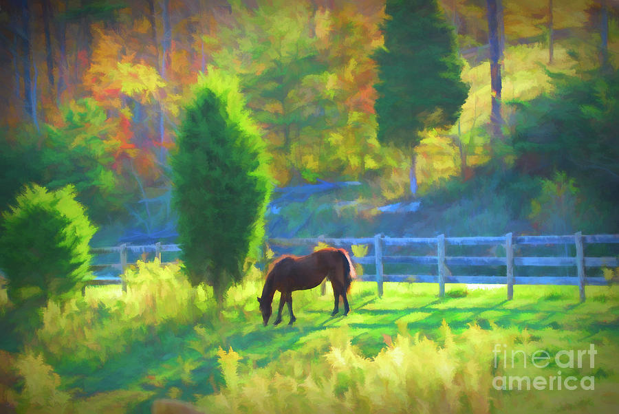 Horse in an Autumn Pasture Photograph by Kerri Farley