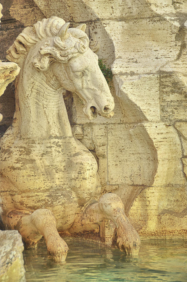 Horse In Fountain  Photograph by Dressage Design