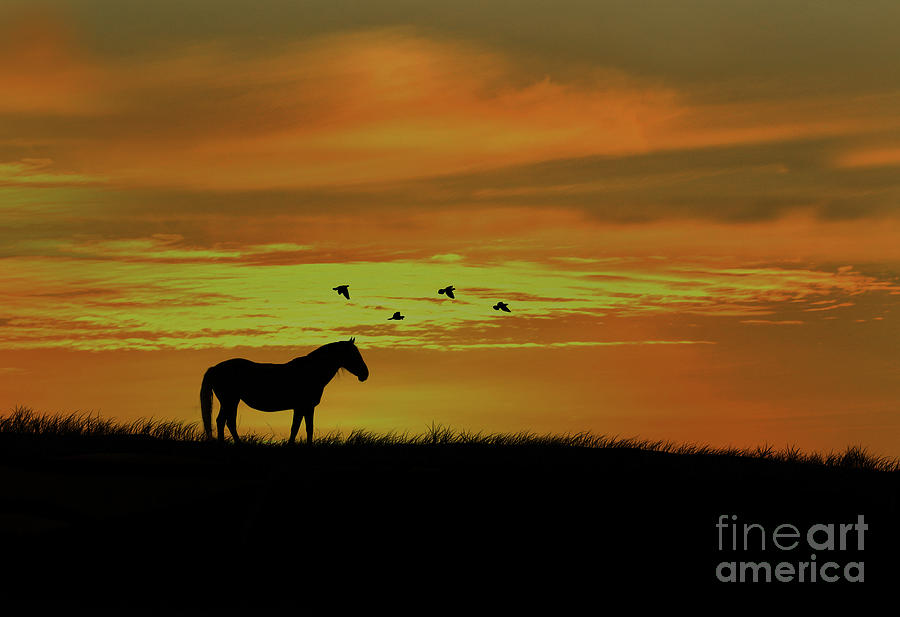 Horse in Southwestern Sunrise with Birds Photograph by Stephanie Laird