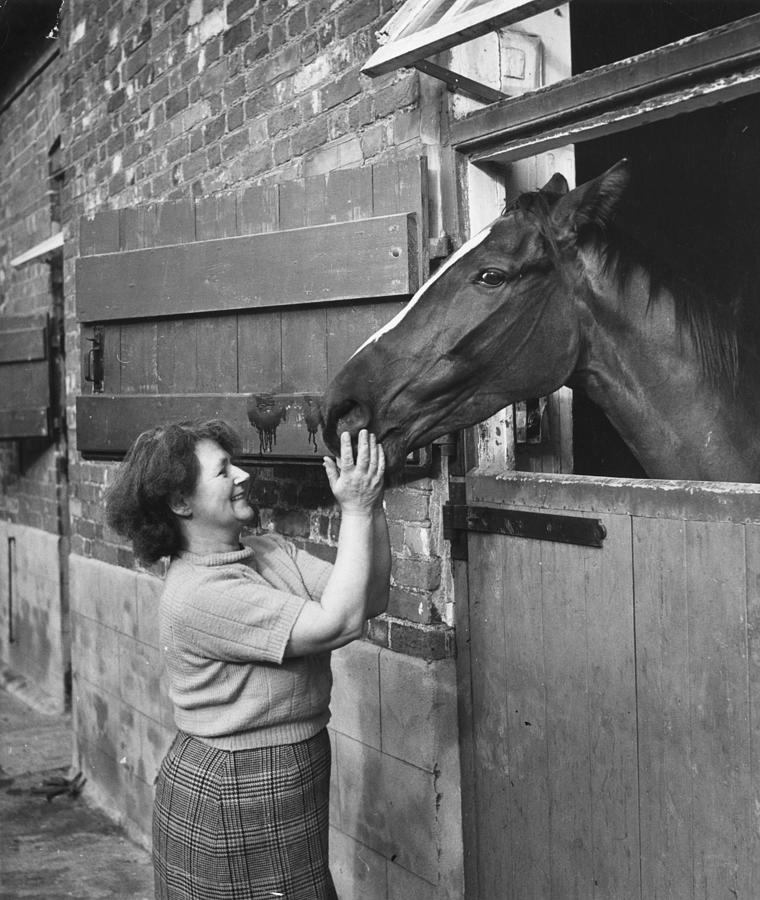 Horse In Stable Photograph by Bert Hardy