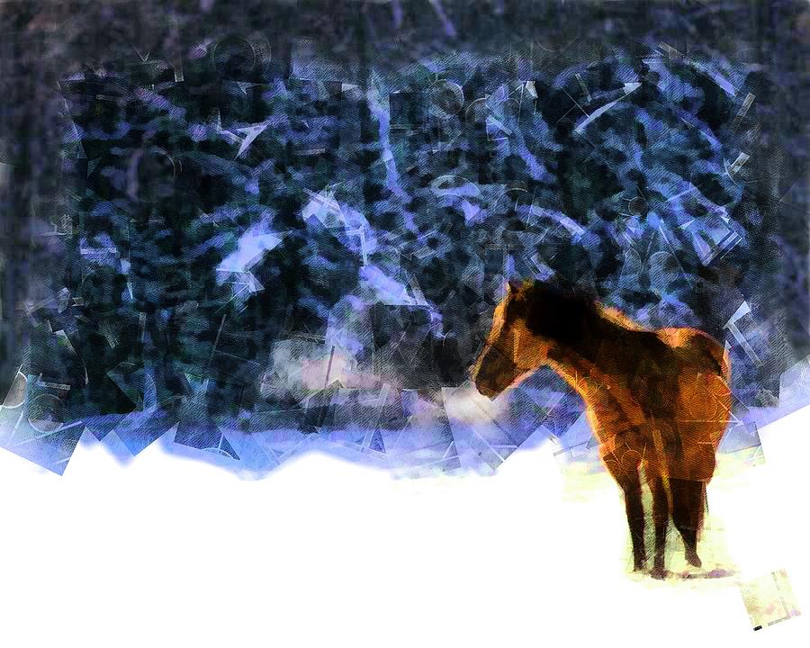 Horse in the Snow by Mario Carini Horse in the Snow by Mario Carini