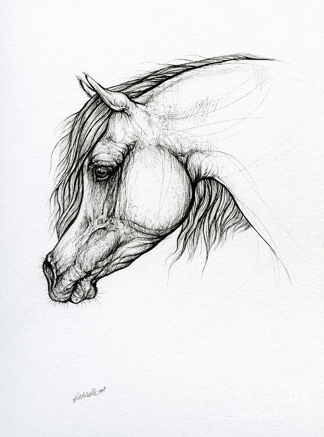 Horse ink art 2019 10 10 Drawing by Ang El