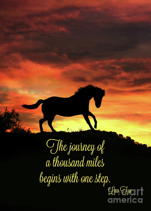 Horse Inspirational Motivational Lao Tzu Famous Quotes Photograph by Stephanie Laird