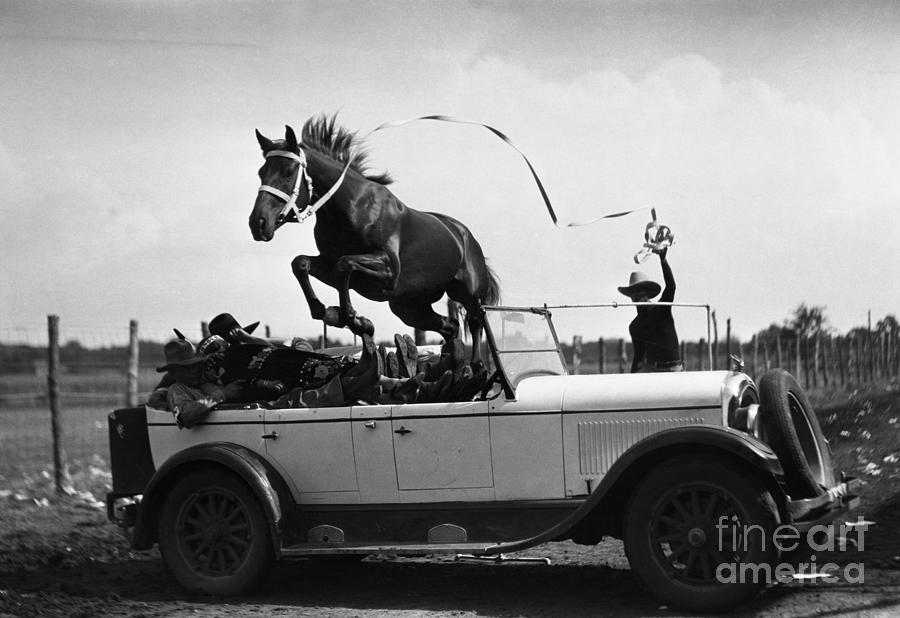 Horse Jumping Over Car Photograph by Bettmann