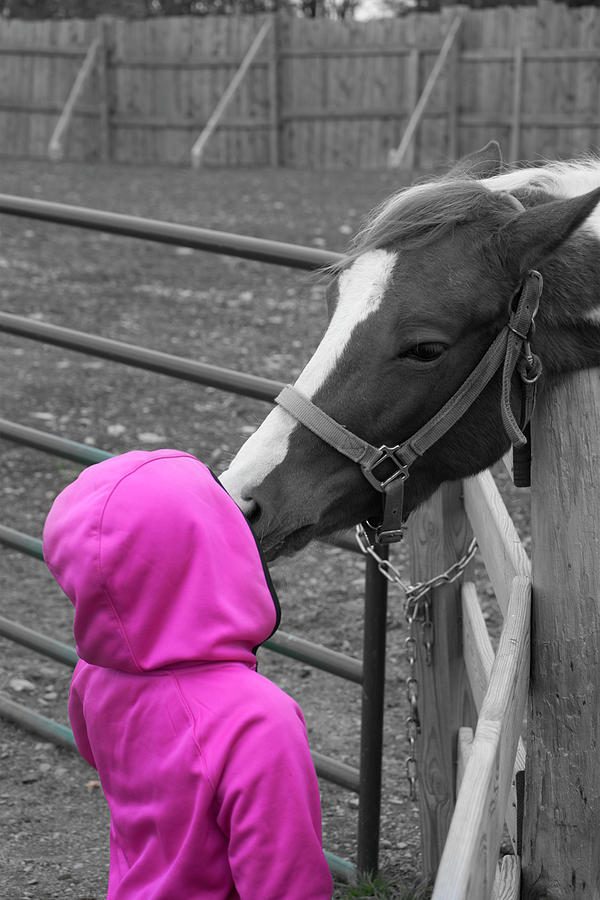 Horse Kiss BW Photograph By Chester Wiker - Fine Art America