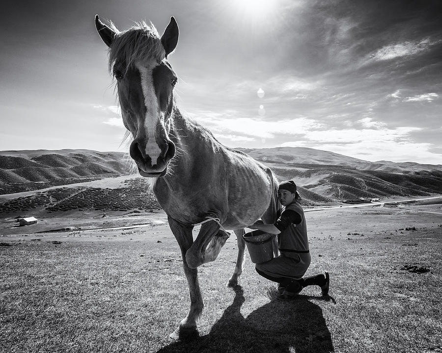 Horse Milk Photograph by Marcel Rebro